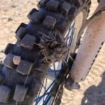 Cactus in Motorcycle Tire